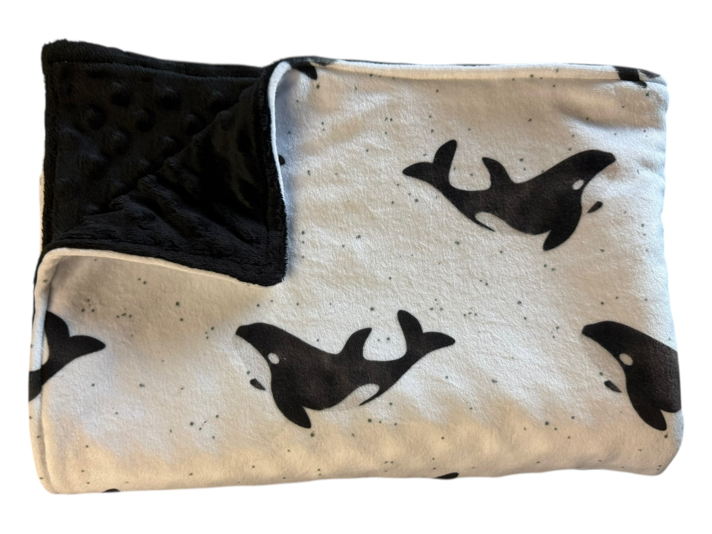 Wild Orca