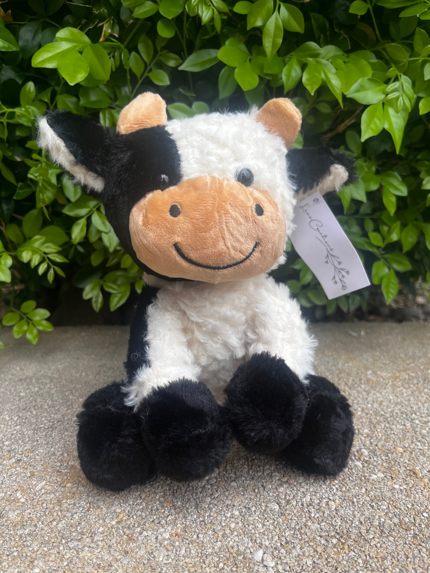 Black cow