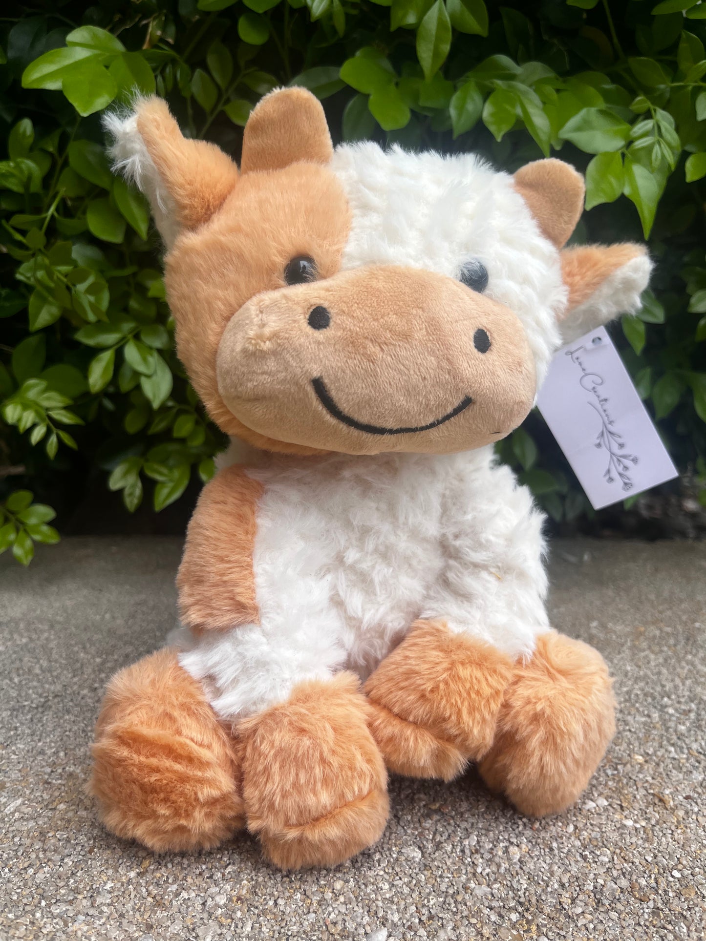 Brown cow