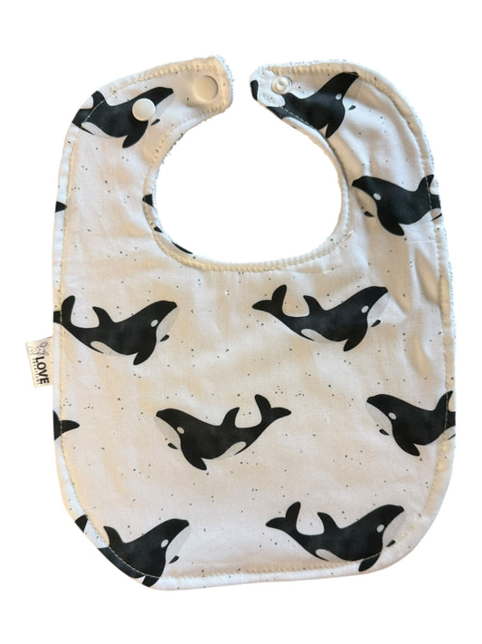 Wild Orcas