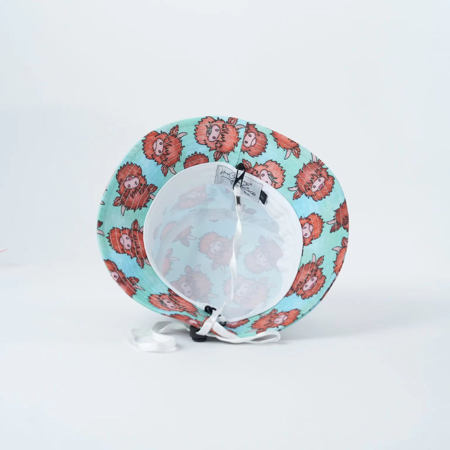 Little highland wanderer